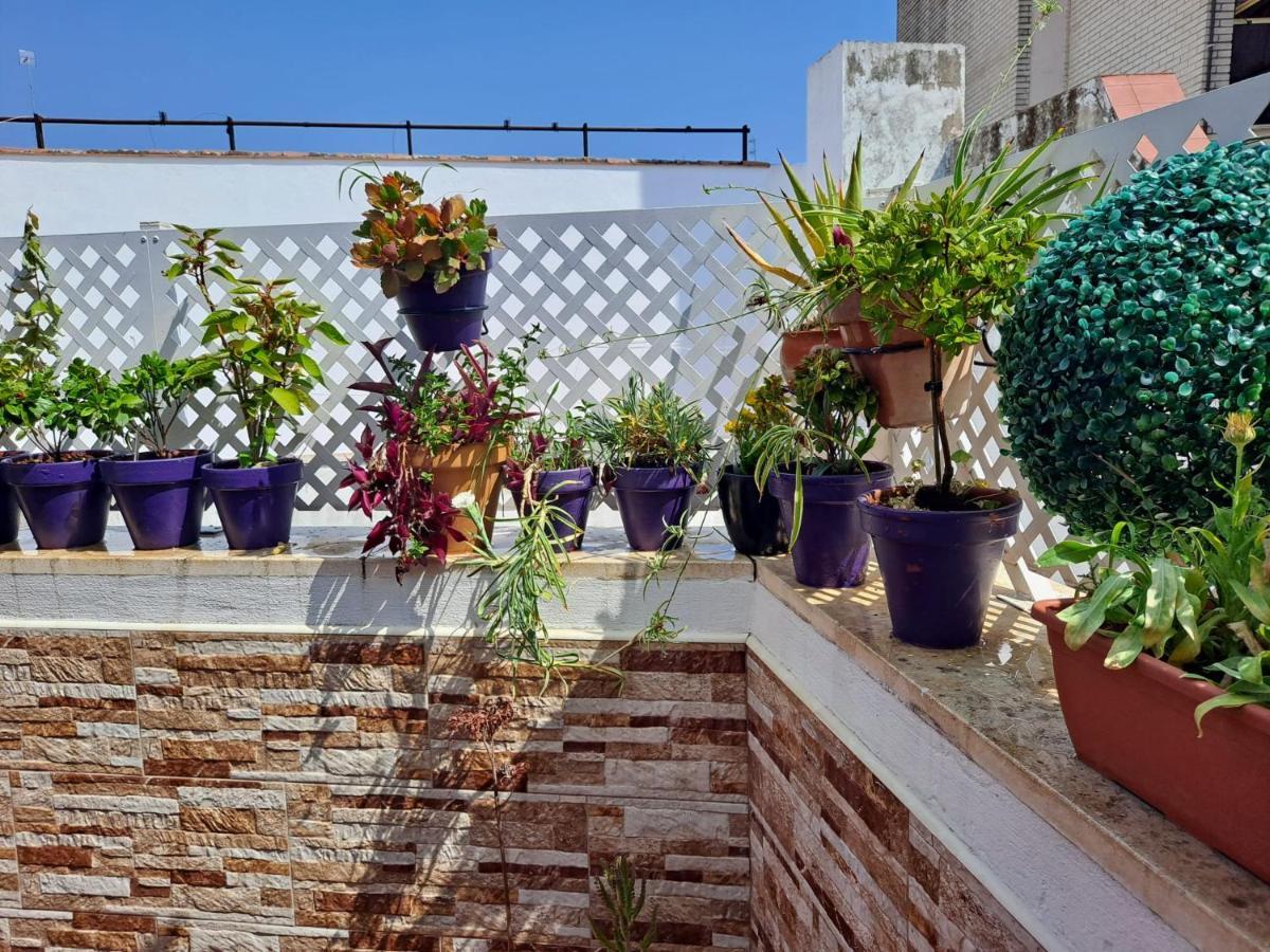 Atico Duplex Marques De Reyes Lejlighed Sevilla Eksteriør billede